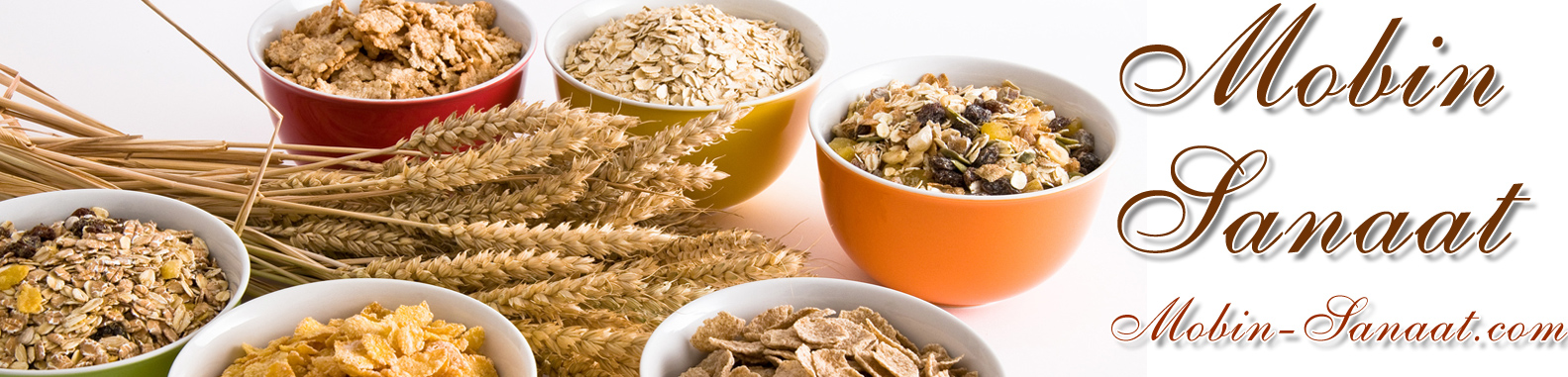 آریان میوه ، تولید کننده ماشین آلات مواد غذایی